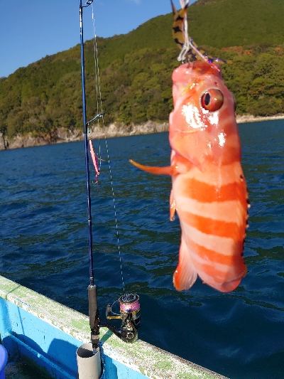 レンタルボード(要免許)釣行