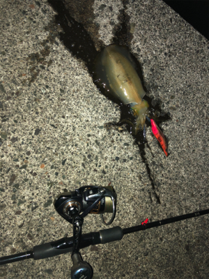 ラストエギング