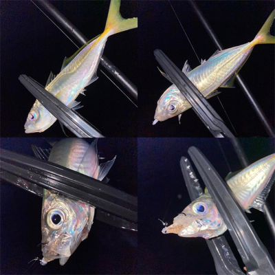 宵姫爽S78Mシャローフリーク縛り