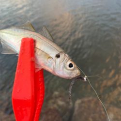 湧いてんなぁ〜