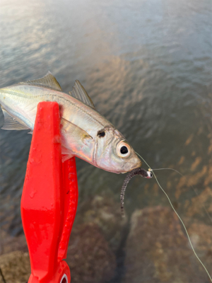 湧いてんなぁ〜