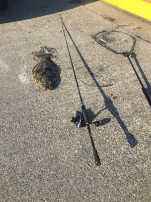 自己最高60センチオーバーのヒラメ