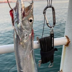 青い牙ねらうも。銀色の牙。。