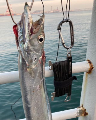 青い牙ねらうも。銀色の牙。。