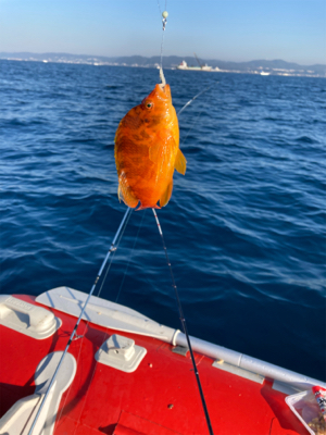 カワハギ爆釣！