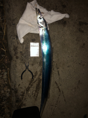 リベンジャーズタッチー