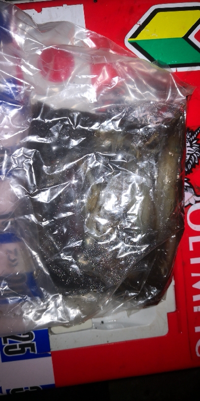 アジング練習347 ライトエギング