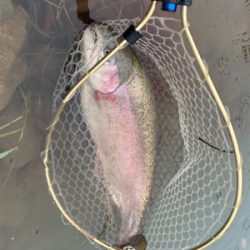 蛇尾川フィシングエリア