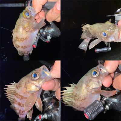 爆風メバリング