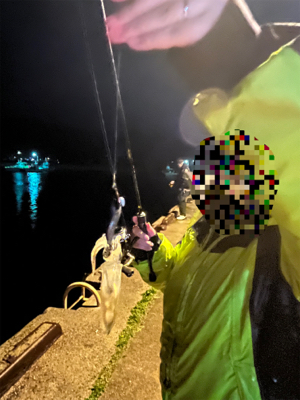 ライトエギング