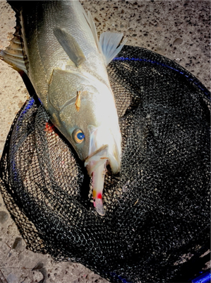 極寒の中、しっかり食ってきた！