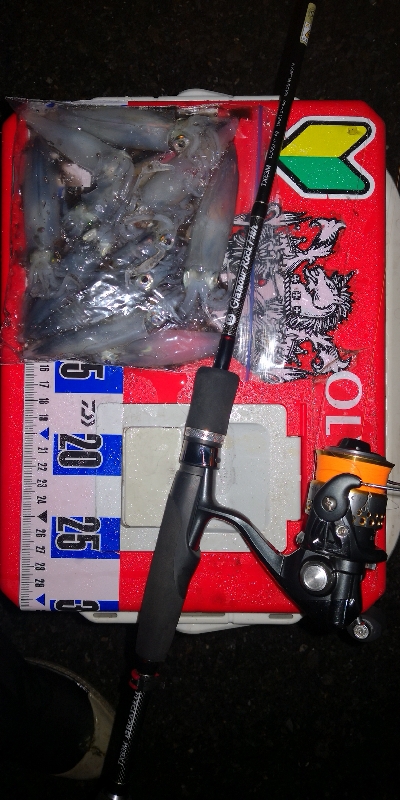 アジング練習353 ライトエギング4