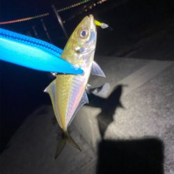 サバが食べたくて