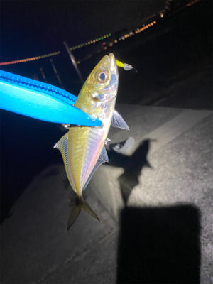 サバが食べたくて