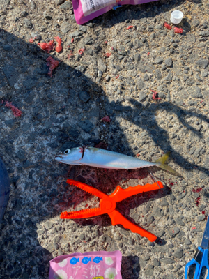 正月に向けての調査。