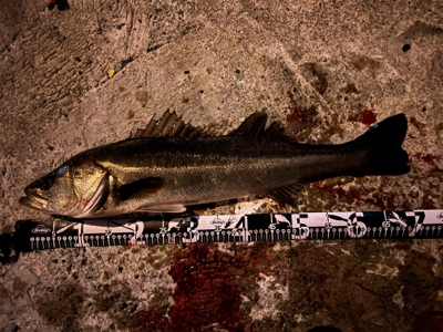 2021最初で最後のスズキ