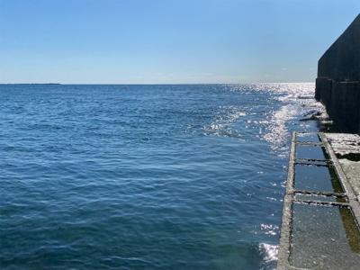 リアクション丸スズキ