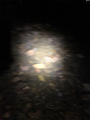 ラストライトゲーム