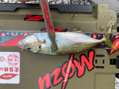 スプリットで型狙い