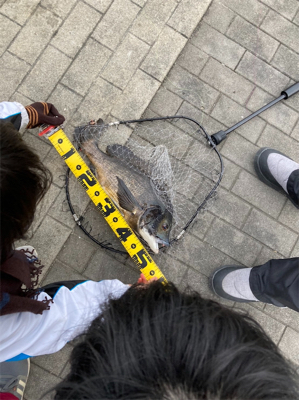 釣り納め シーサイドコスモ 12/29