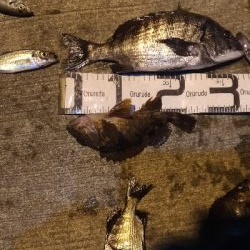 12/25向かい風で苦戦しました。