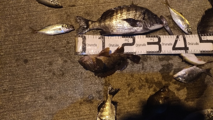 12/25向かい風で苦戦しました。