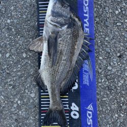 イチノ兄弟、釣果!