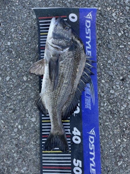 イチノ兄弟、釣果!