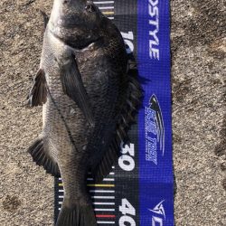 イチノ兄弟、釣果！