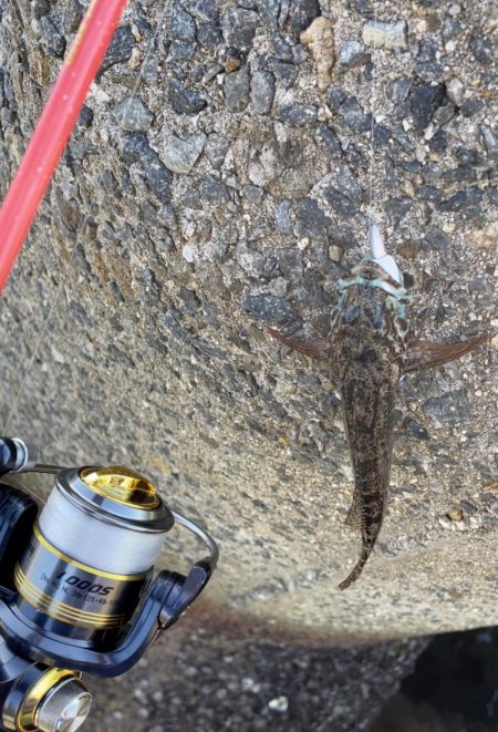 ジグワームで底物狙い