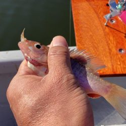 入鹿池でワカサギ釣り