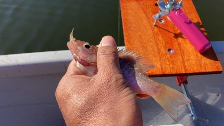入鹿池でワカサギ釣り