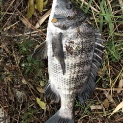 イチノ兄弟、釣果!