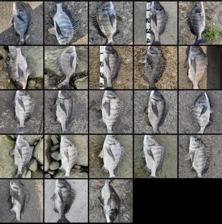 イチノ兄弟、釣果！