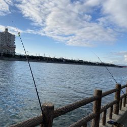 カレイとキス狙い