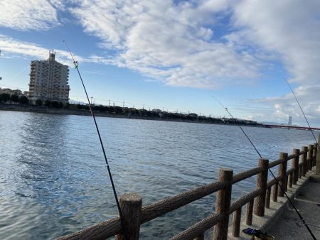 カレイとキス狙い