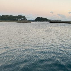 令和三年釣り納め 爆風の中、釣れてよかったー