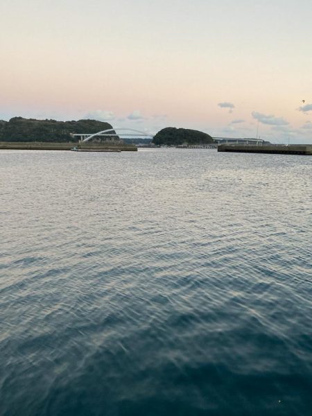 令和三年釣り納め 爆風の中、釣れてよかったー