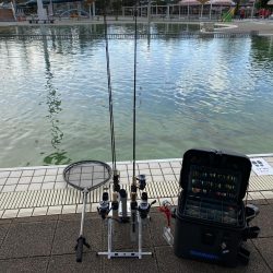 エリアトラウト　京都亀岡