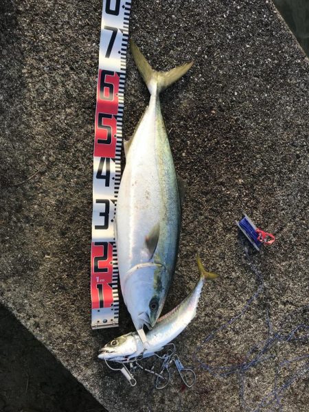 セットアッパー