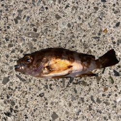 寒さに耐えてランガン