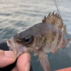 納竿釣行>* ))))><