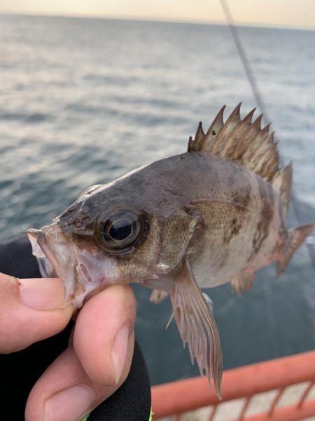 納竿釣行>* ))))><