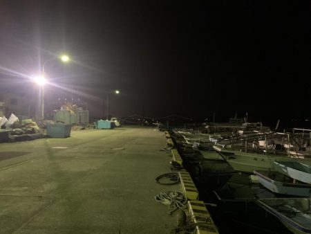 ヒイカ12  メバル①