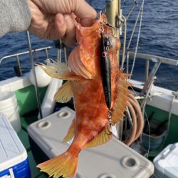 ジギング　7目釣り