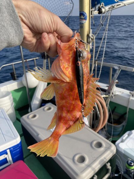 ジギング　7目釣り