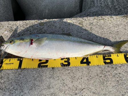 ホーム最終戦‼️