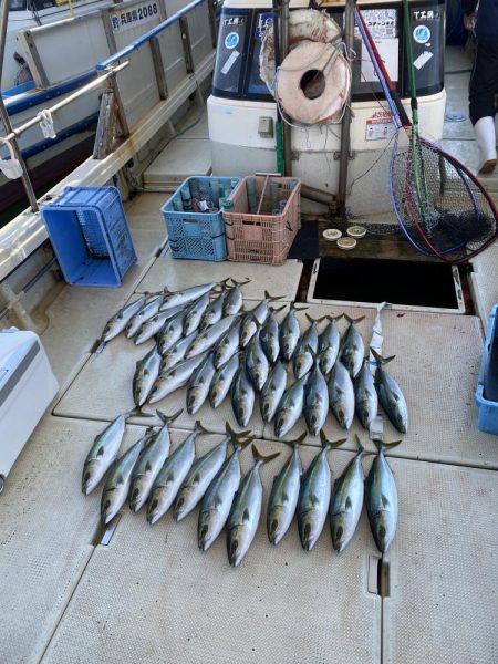 ハマチ　まだまだ湧いてます