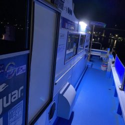 大型カレイ来た〜