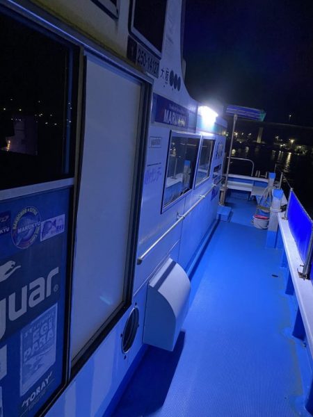 大型カレイ来た〜